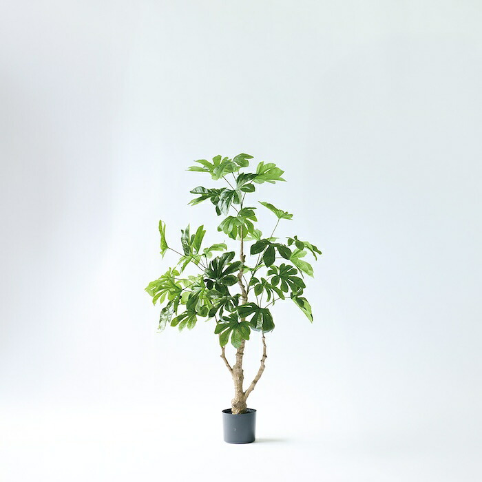 観葉植物 造花 ヤツデ BROWN 全高約140cm 中型 コンパクト フェイクグリーン 高級 本物そっくり リアル おしゃれ 和風 和モダン インテリア 人工観葉植物 アーティフィシャルグリーン オフィス 店舗 旅館 開店祝い 室内 リビング 寝室 玄関 庭木 八つ手