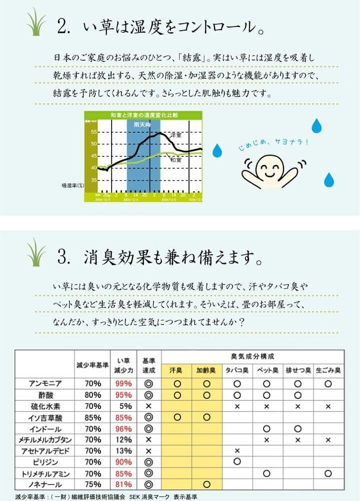 夏ラグ 夏用カーペット い草ラグ おしゃれ コンパクト シンプル カーペット 『DXモーセ』 約135×180cｍ 新生活