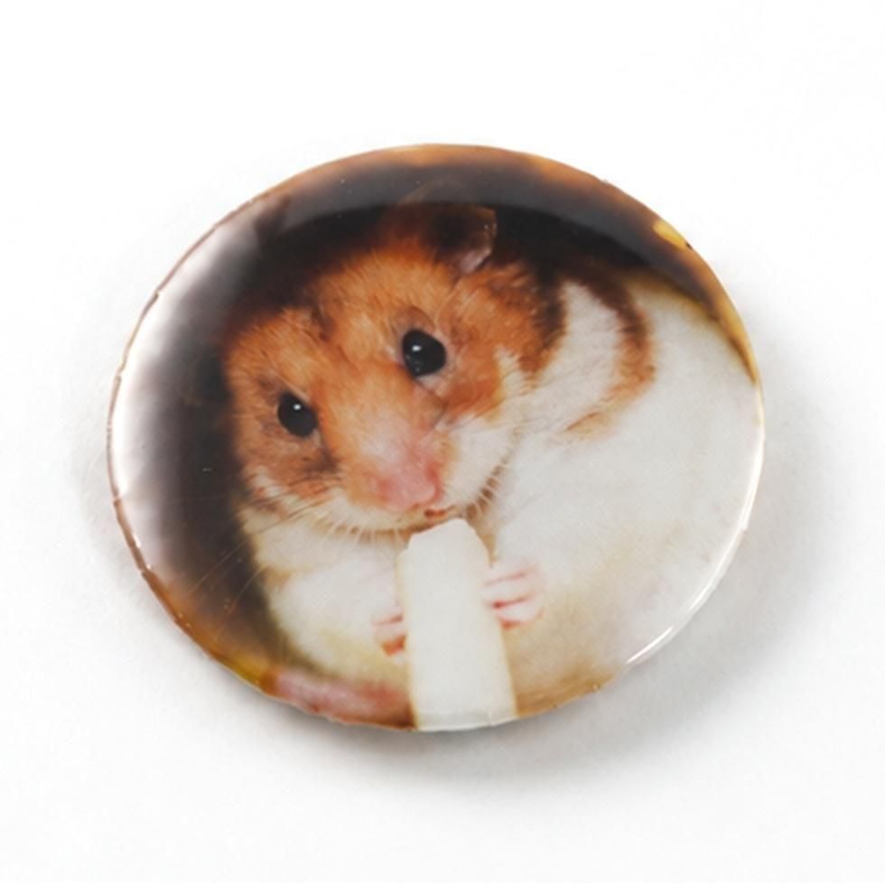 ペット 写真入り マグネット 56mm｜うちの子 オリジナル グッズ【送料無料】