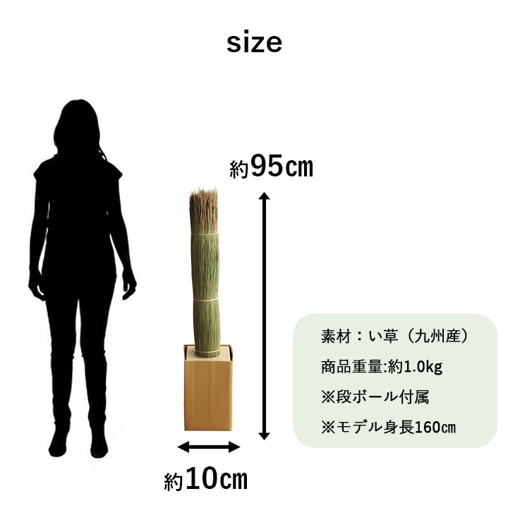 国産 日本製 い草 インテリア オブジェ 消臭 空気清浄 ナチュラル 植物 置物 95×10cm