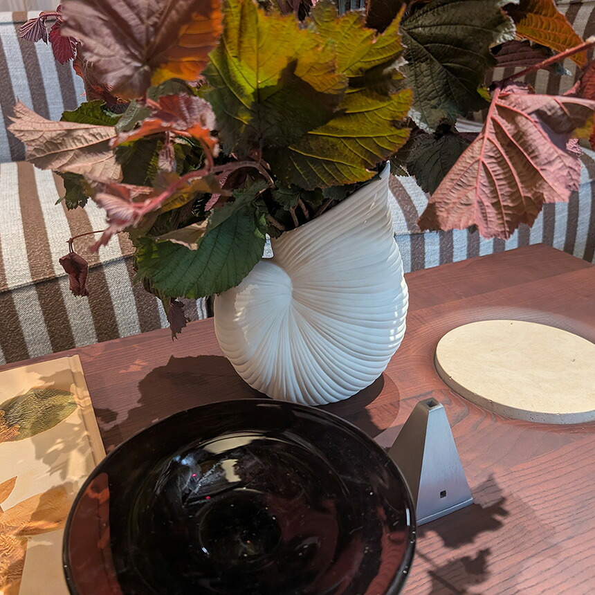 ferm LIVING ファームリビング シェルベース Shell Vase 北欧人気 オブジェ 置物 飾り インテリア 雑貨 デンマーク おすすめ プレゼント ギフト 北欧雑貨 オウムガイ 貝 デザイン 貝殻 インテリア雑貨
