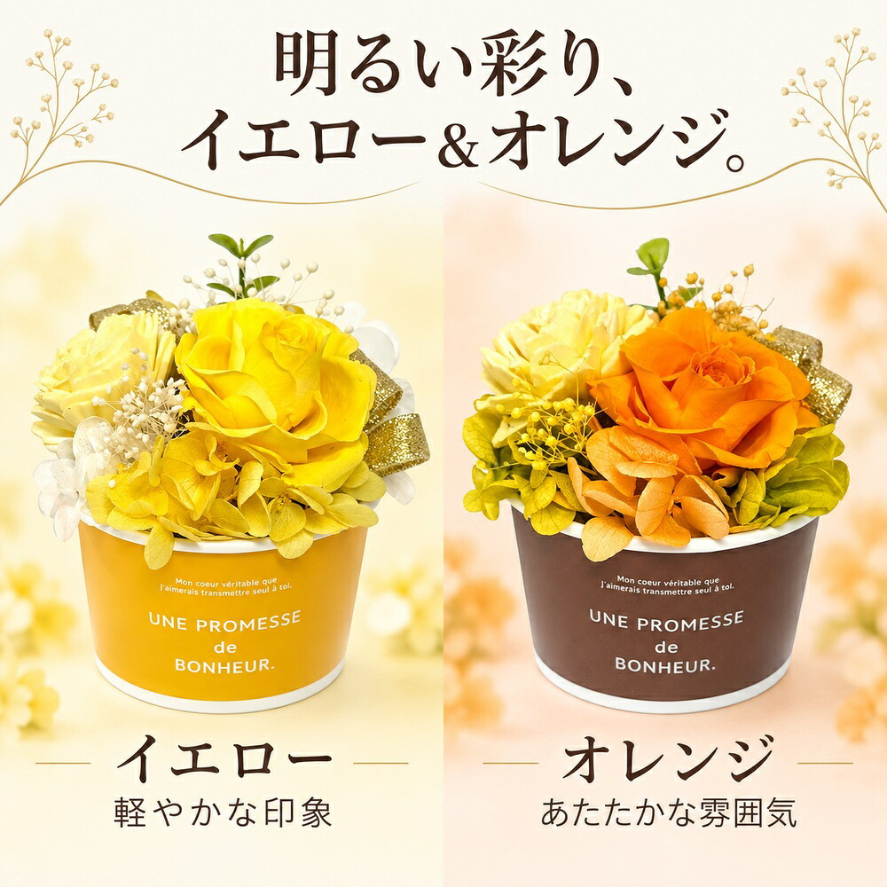 プリザーブドフラワー ギフトアレンジメントソルベ / プリザーブドフラワー バラ 花 ギフト 誕生日 母の日 敬老の日 結婚祝い 送別 新築祝い おしゃれ ケース付き / 色鮮やかなローズと上品なリボンが彩る そのまま飾れる華やかなフラワーギフト