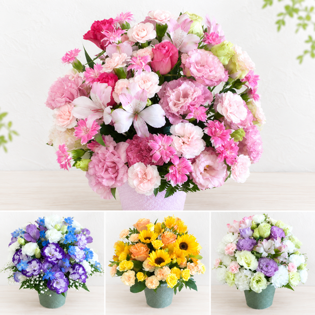 ご希望の色合いで選べる カラーセレクトアレンジメント 高さ34cm 生花 フラワーアレンジメント 花ギフト フラワーギフト 誕生日 お祝い お見舞い 送別 季節行事 お供え お悔やみ 手作り 鮮度重視 送料無料【北海道・九州・四国・中国・沖縄・離島は配送不可】