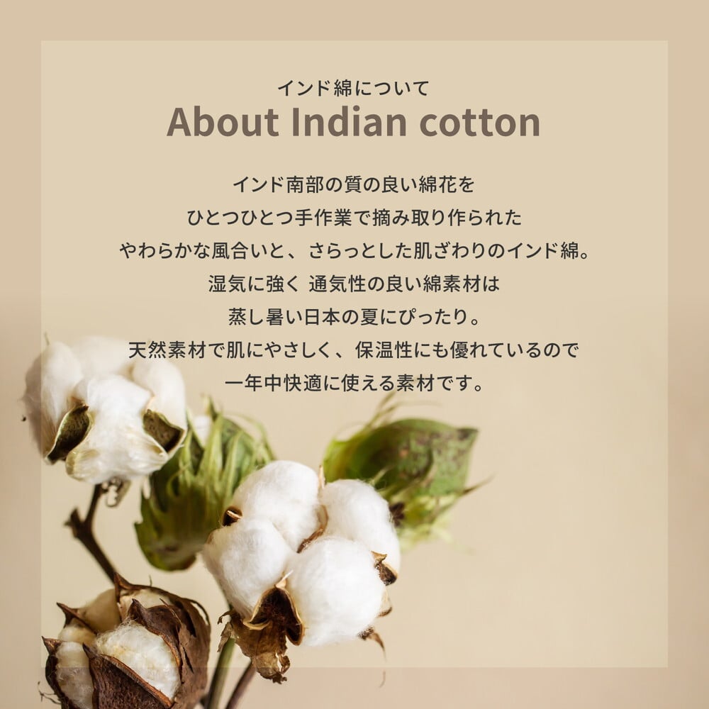 ベッド 寝具 【2枚組】 インド綿 シートクッション アルト 約40×40cm 座布団 コットン100％