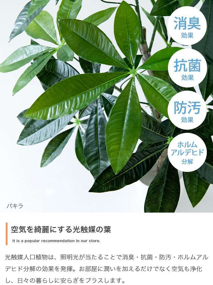 【高さ90cm】光触媒人工観葉植物 モンステラ 幅50cm×奥行50cm×高さ90cm リビング ダイニング 天然木 お部屋に気軽に飾れて空間を美しく彩るフェイクグリーン 本物の植物のようなリアルな質感とインテリアに馴染む風合いが魅力です
