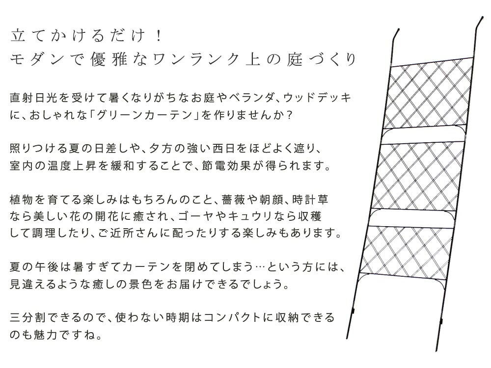 アイアンフェンス アイアン製グリーン アーガイル フェンス アイアン グリーンフェンス ゴーヤ 薔薇 バラ 朝顔 庭 ベランダ ガーデニング 枠 柵 仕切り 目隠し 境目 アンティーク トレリス 園芸 ラティス 屋外 ガーデンフェンス 目隠しフェンス 新生活