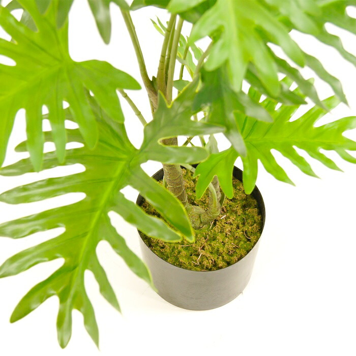 観葉植物 造花 セローム BROWN 全高約70cm 卓上・小型 フェイクグリーン 本物そっくり おしゃれ インテリア 人工観葉植物 アーティフィシャルグリーン オフィス 店舗 ホテル 開店祝い 室内 ミニ フィロデンドロン フェイク