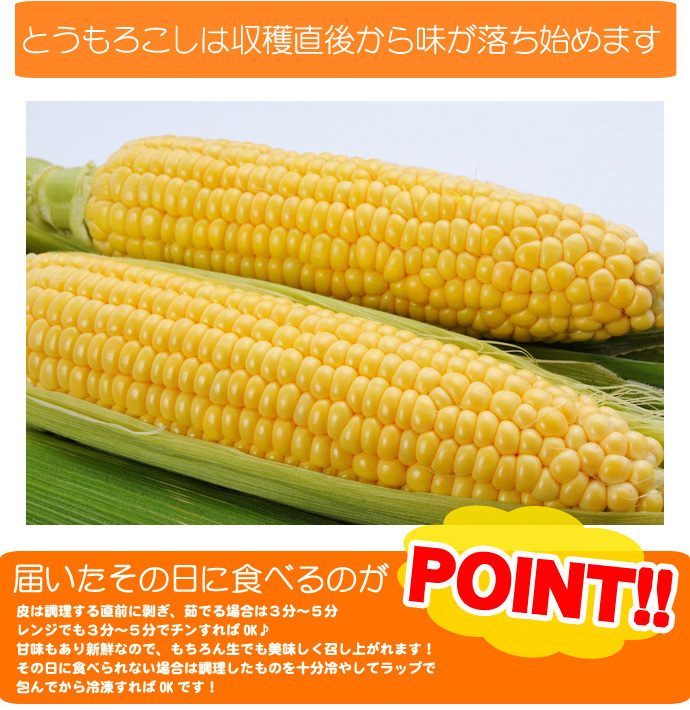 イエロースイートコーン 北海道 とうもろこし 8本入 送料無料 ※沖縄は送料別途加算