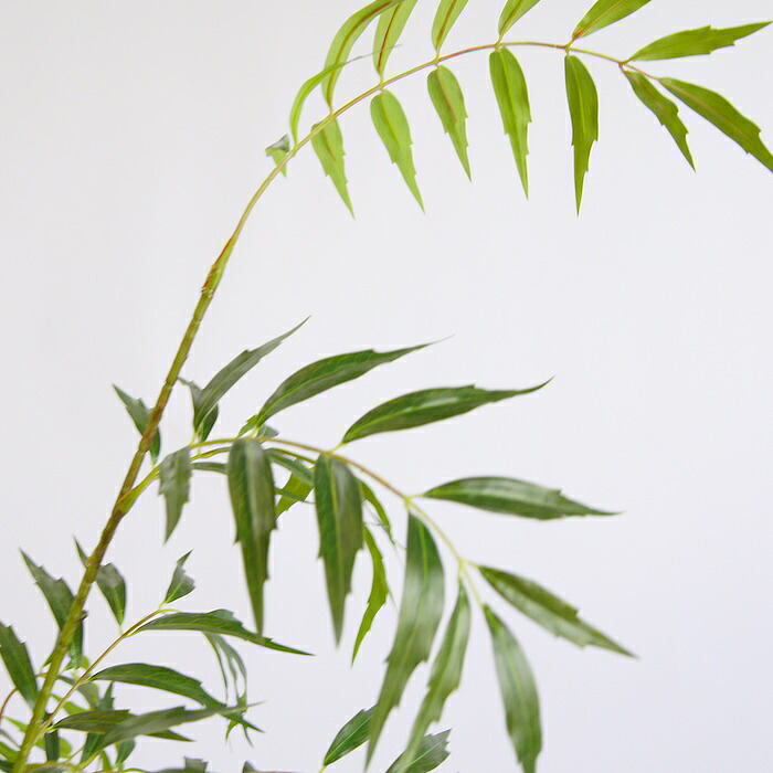 観葉植物 造花 マホニア コンフューサ BROWN 全高約150cm 大型 フェイクグリーン 本物そっくり おしゃれ インテリア 人工観葉植物 アーティフィシャルグリーン オフィス 店舗 ホテル 開店祝い 室内 ナリヒラヒイラギナンテン フェイク