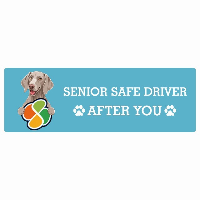 カーサイン 高齢者マーク SENIOR SAFE DRIVER ワイマラナー ステッカー シール 長方形 15x5cm 肉球 日本製 車