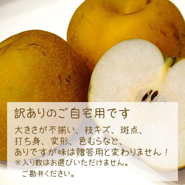 予約販売 訳あり 梨 千葉県市川産 いちかわの梨 5kg 幸水 豊水 秋月 B級品 自宅用 家庭用 和梨 なし フルーツ 果物 旬の味覚 お取り寄せ グルメ お盆 暑中見舞い 残暑見舞い