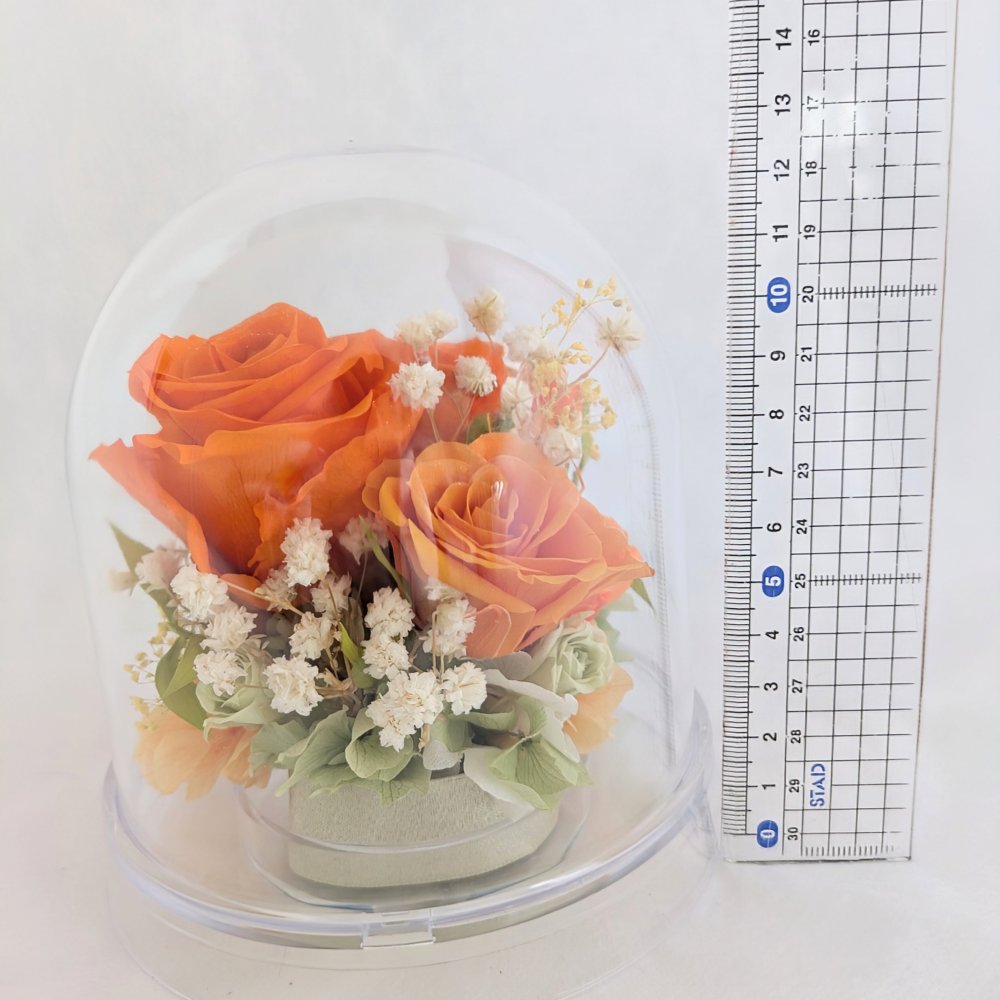 プリザーブドフラワー／オレンジの大輪の薔薇と小花のクリアドームギフト
