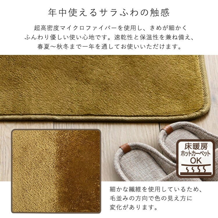 ラグ カーペット 洗える玄関マット 45×90cm 【ヴィタム-Witam-】