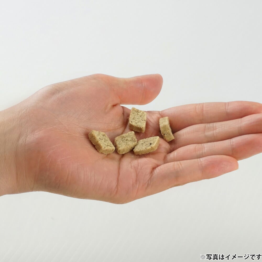ナチュラルハーベスト NaturalHarvest 国産 大地のベジビス エゾ鹿 低リン 犬用おやつ 45g