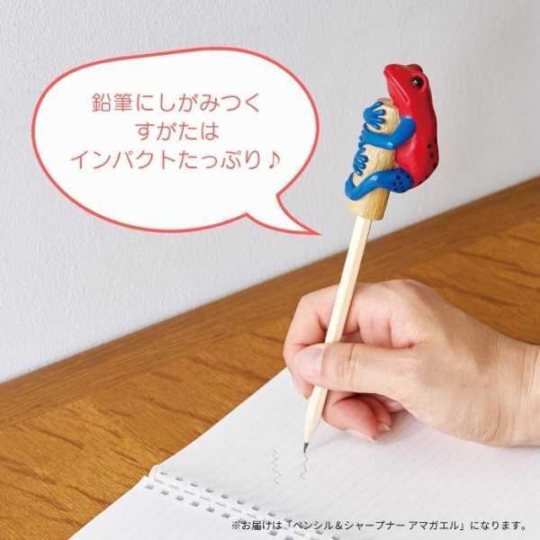 ペンシルキャップ 鉛筆削り アマガエル 文房具 ステーショナリー 雑貨 おしゃれ 可愛い リアル 癒し 動物モチーフ デスク周り オフィス 学校 勉強道具 ギフト プレゼント セトクラフト