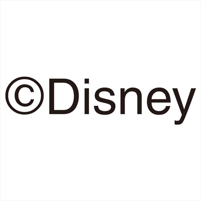 ディズニー ステンレス真空ステンレスタンブラー2Pセット（ミッキー･ミニー） 82671  内祝 内祝い お祝 御祝 記念品 出産内祝い プレゼント 快気祝い 粗供養 引出物