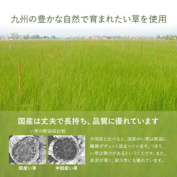 置き畳 半畳 国産 い草 簡単 和室 約82×82cm 9枚組