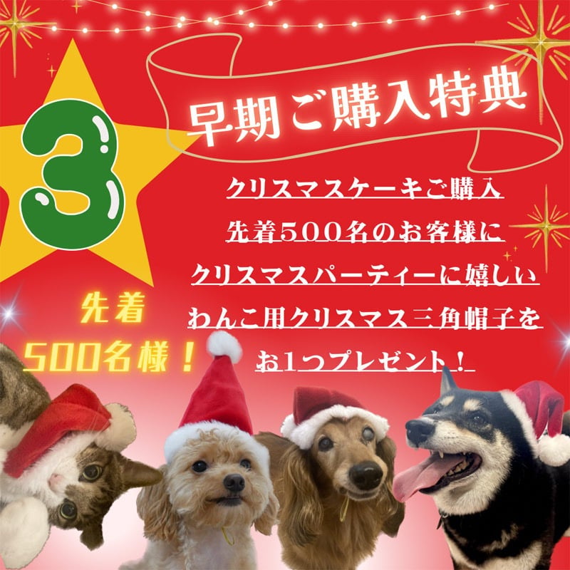 「 ハッピー クリスマス ロールケーキ 」 ワンちゃんもネコちゃんも飼い主さんも食べられる 美味しく贅沢なグルテンフリーケーキ ペットも飼い主様も大好きなケーキ♪ 家族みんなで美味しい贅沢をお楽しみください。はなとしっぽ初の人用ケーキコラボ商品！