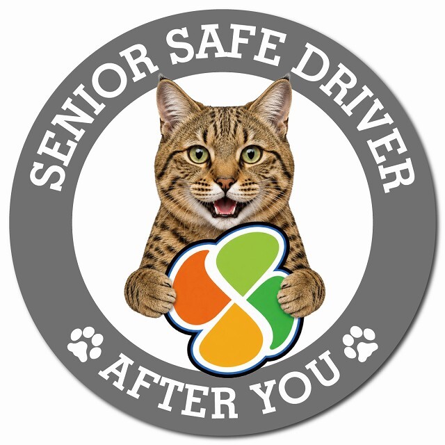 カーサイン 高齢者マーク SENIOR SAFE DRIVER ピクシーボブ マグネット 強力 直径13cm 肉球 日本製 車 ステッカー