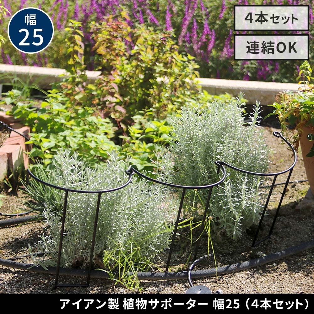 アイアン製植物サポーター 幅25 4本セット IF-N0049-4P奥行13 高さ50 ハーフリング 倒れ防止 広がり抑制 スチール 鉄製 支柱 園芸 植物サポート フラワーサポート 菜園 花壇