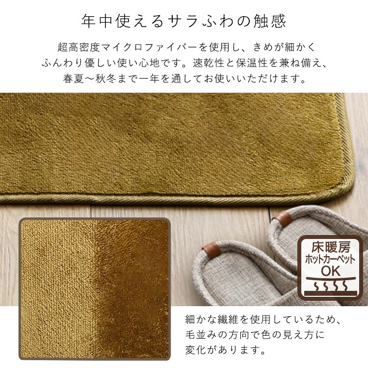 ラグ カーペット 洗える玄関マット 45×65cm 【ヴィタム-Witam-】