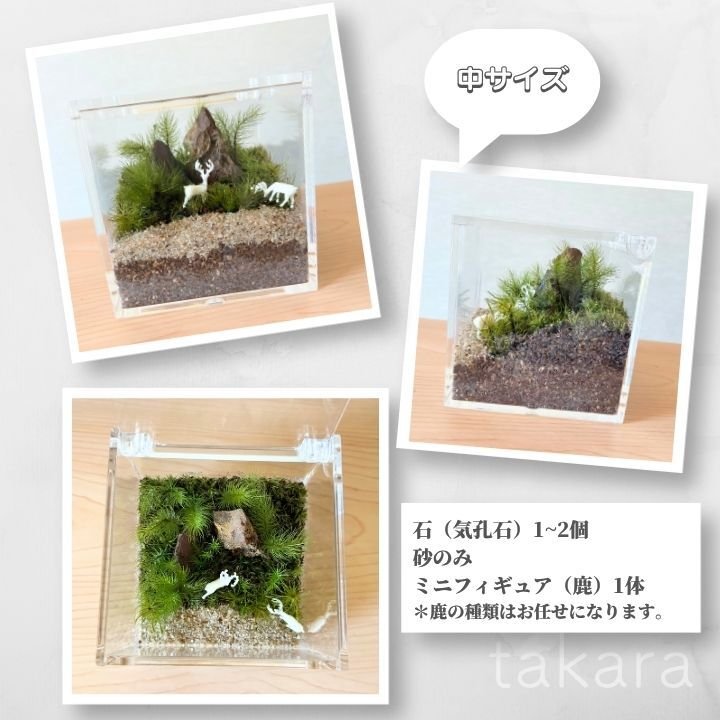 苔テラリウム制作キット コケテラリウム おしゃれ 贈り物 コケインテリア 母の日ギフト 手作りキット 創作キット 苔インテリア 苔リウム コケリウム 作成キット お誕生日 おうち時間 ステイホーム 敬老の日 ワークショップ 父の日 イベント【アクリルケース＆鹿】