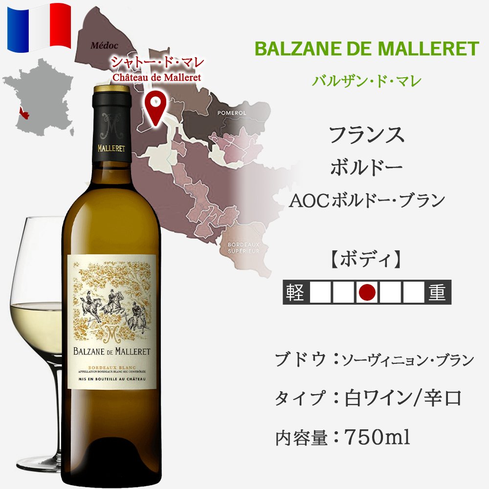 高級ワイン フランス BORDEAUX ボルドー 飲み比べセット 赤ワイン 白ワイン 2本 紅白ワイン フランス オー・メドック  メルロー ソーヴィニヨン・ブラン トワル・ド・ジュイ 750ml 2本 贈り物 プレゼント 熨斗包装 ギフト箱付 お祝い 会社 上司 送料無料