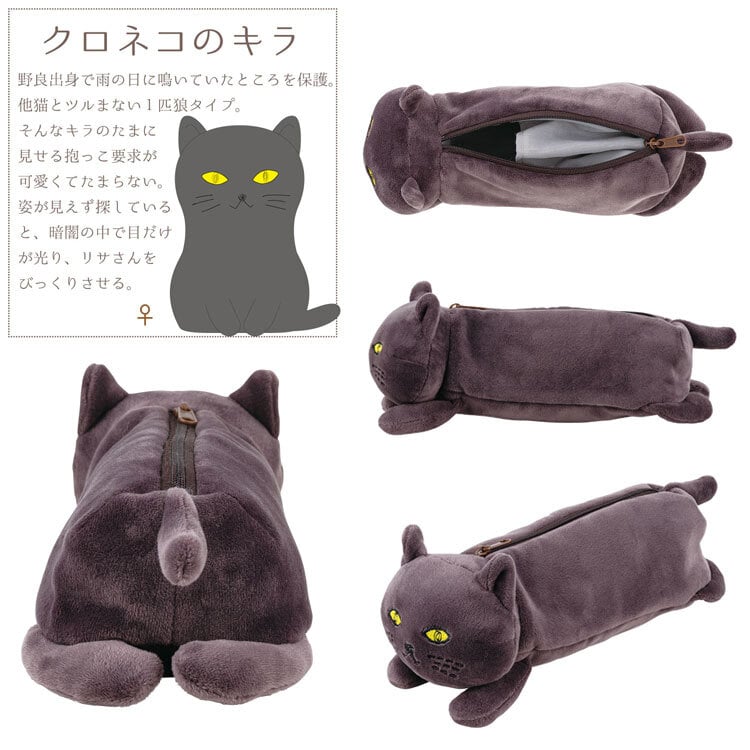  ピタリーヌ ペンケース 文房具 マグネット付き 定形外 送料無料 猫 ネコ ニコ　ニコ（三毛猫）