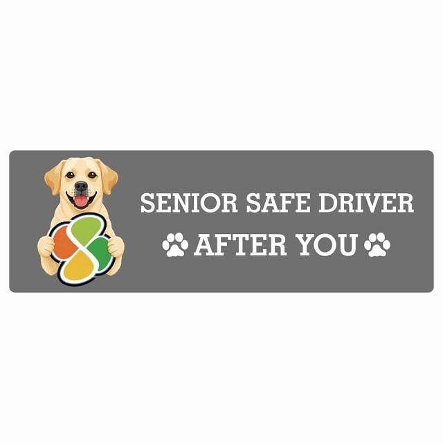 カーサイン 高齢者マーク SENIOR SAFE DRIVER ラブラドールレトリバー ステッカー シール 長方形 15x5cm 肉球 日本製 車