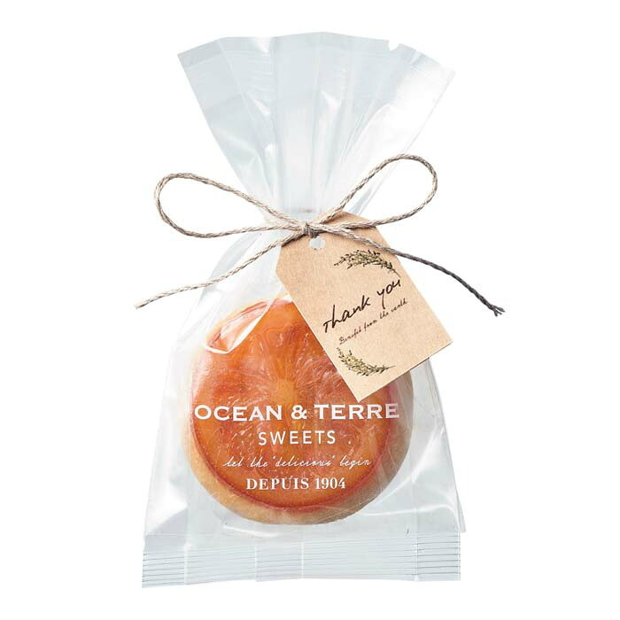 オレンジクッキー 1個 〈AS144〉 オーシャンテール スイーツ ラッピング対応外です OCEAN&TERRE スウィーツ 出産内祝い 結婚内祝い 新築内祝い 結婚式 菓子折り 手土産 お菓子 otsv6