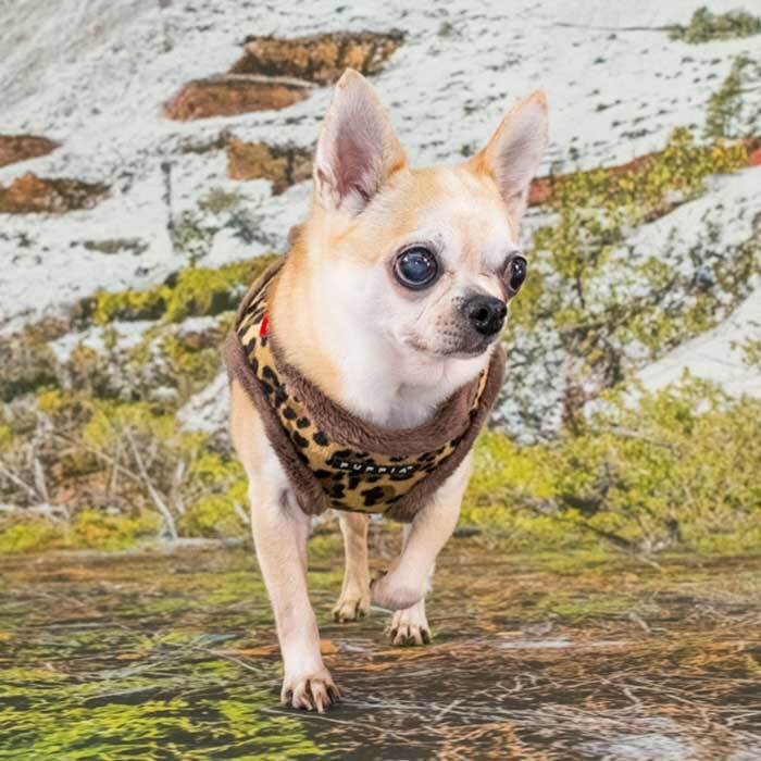 PUPPIA パピア ハーネス 秋冬 フリース ワイルドハーネス プレゼント ギフト 誕生日 S M L XL 小型犬 中型犬 チワワ トイプードル 柴犬 散歩 暖かい 防寒 ベスト型 着せやすい