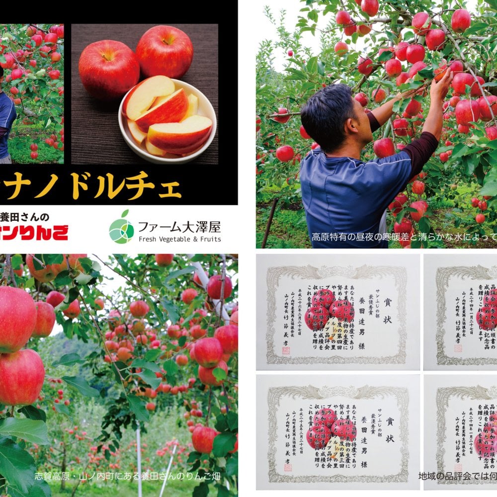 最高級品　シナノドルチェ　チャンピオンりんご®　贈答用　約1.4kg　4-5玉　長野県・志賀高原産　お歳暮　御歳暮　敬老の日　フルーツ　ギフト