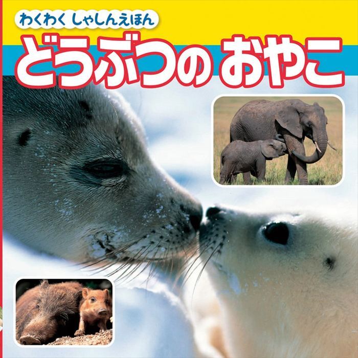  知育えほん･ぬりえ（6冊セット） COS-35-02E  内祝 内祝い お祝 御祝 記念品 出産内祝い プレゼント 快気祝い 粗供養 引出物