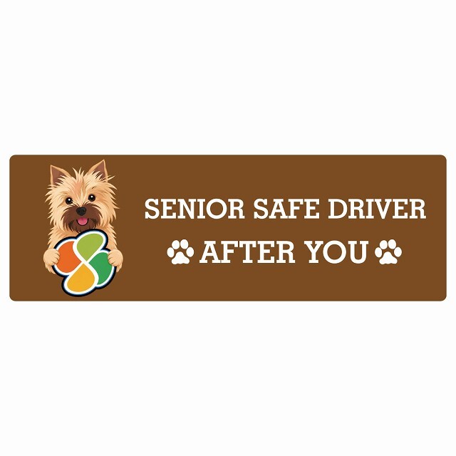 カーサイン 高齢者マーク SENIOR SAFE DRIVER ノーリッチテリア ステッカー シール 長方形 20x6.7cm 肉球 日本製 車