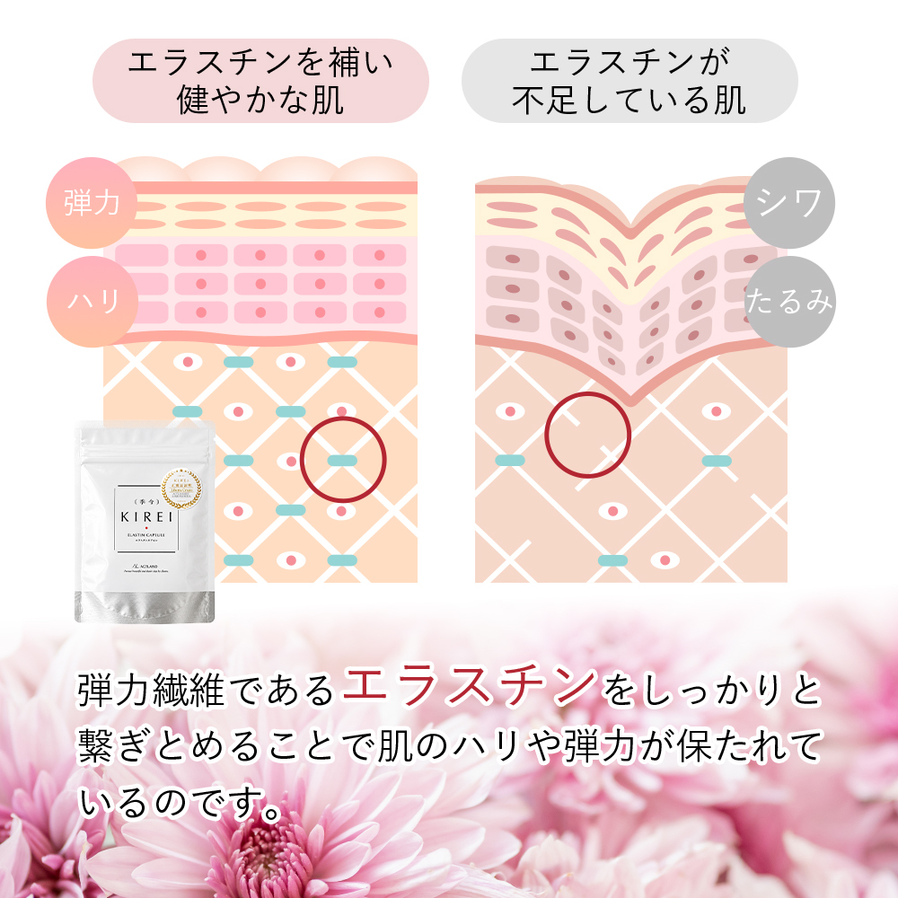 【パッケージ変更】【２袋セット】季令（ KIREI ） エラスチンカプセル 100粒×2袋 高純度エラスチン 100％天然由来 コラーゲン エラスチン ヒアルロン酸 エイジングケア スキンケア キレイ 無着色 合成保存料・香料不使用 ACTLAND