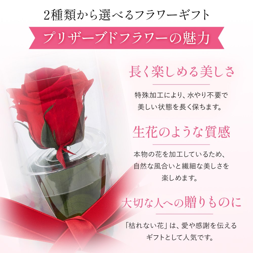 くま ぬいぐるみ バラ プリザーブドフラワー ソープフラワー お花 クリスマス 退職 入学 プロポーズ 誕生日 記念日 結婚記念日 恋人 女性 父 妻 嫁 内祝い お返し 祖父 プレゼント 米寿 喜寿 女友達  プレゼント 花 ギフト 50代 60代 70代 ははの日 送料無料