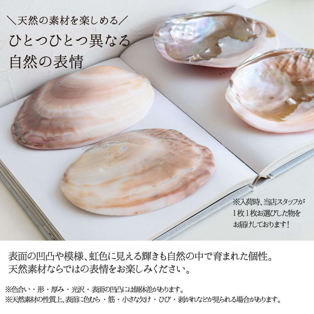 パワーストーン 簡単 浄化セット 入れ 置き皿 浄化皿 パールシェル 選べる6種のさざれ イケチョウ貝 器 浄化 グッズ 2点セット ブレスレット ピアス ネックレス の浄化用 天然水晶 空間浄化セット 玄関用 部屋用 置物 厄払い 女性 男性 厄年 プレゼント