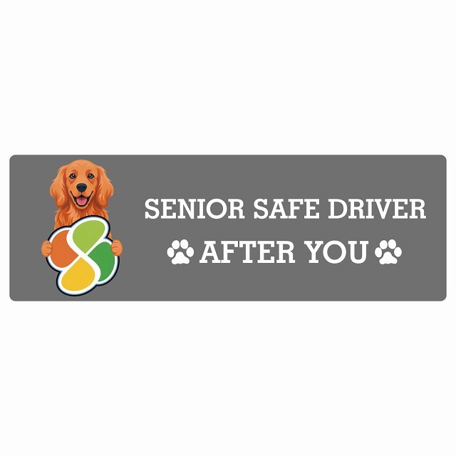 カーサイン 高齢者マーク SENIOR SAFE DRIVER アイリッシュセター ステッカー シール 長方形 15x5cm 肉球 日本製 車