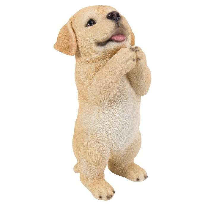 置物 犬 おねだりラブラドールレトリバー 高さ21.4cm woobia ウービア いぬ リアル かわいい おしゃれ 玄関 インテリア オブジェ ガーデン ラブラドール 動物 癒し 棚 北欧 プレゼント ギフト 新築祝い 犬好き