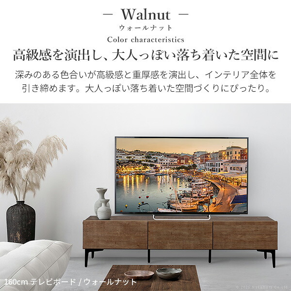 テレビボード 板扉/幅120cm テレビ台 ローボード TVボード 国産 日本製 セミ完成品 リビングボード テレビラック リビング収納 TV台 AVボード おしゃれ ナチュラル ウォールナット ブラウン オーク ホワイト ヴィンテージ〔テレビ台FV〕