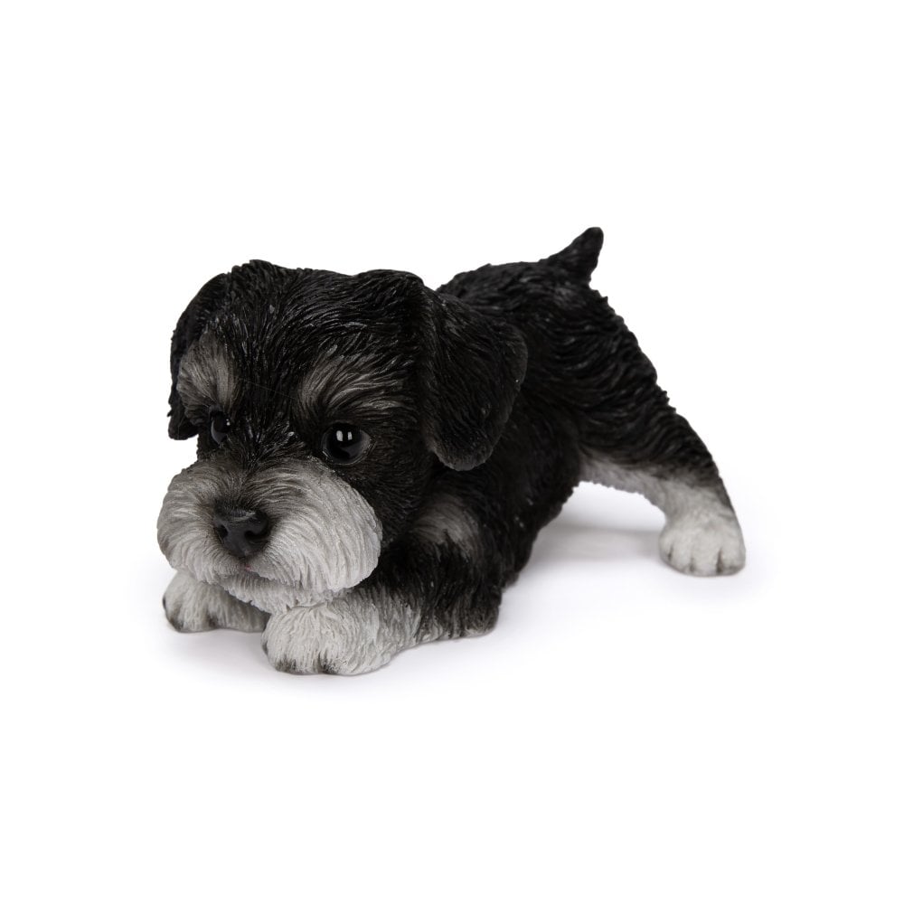 犬の置物 woobia ウービア かまえるシュナウザー 黒白 小 子犬 10cm 手のひらサイズ リアル動物オーナメント イギリス職人手彩色 玄関 デスク インテリア 縁起物 誕生日 お礼 退職祝い 新築祝い お祝い ギフト プレゼント かわいい