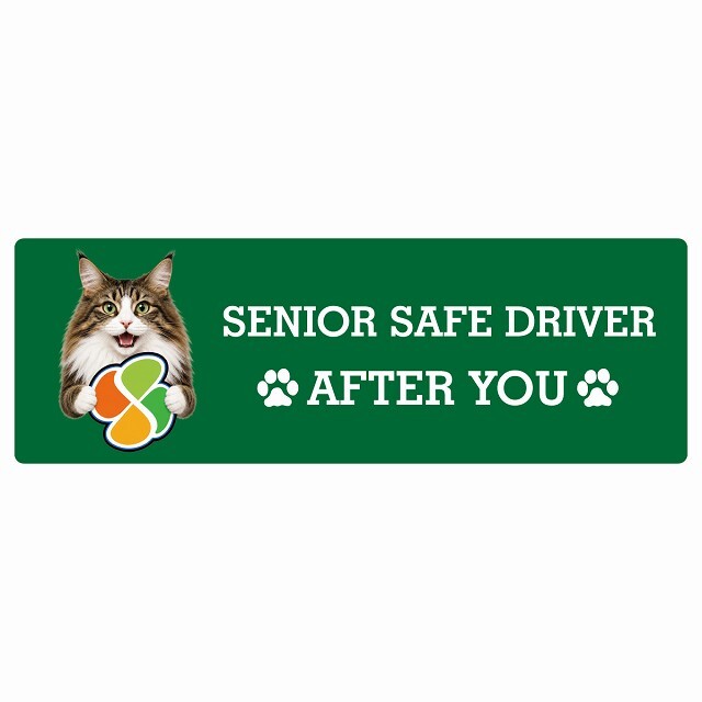 カーサイン 高齢者マーク SENIOR SAFE DRIVER ノルウェージャンフォレストキャット ステッカー シール 長方形 20x6.7cm 肉球 日本製 車