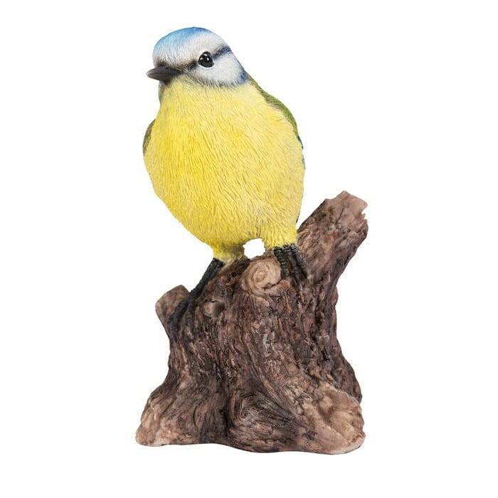 置物 鳥 青雀 高さ13.5cm woobia ウービア アオガラ 野鳥 リアル おしゃれ 玄関 インテリア オブジェ ガーデン 北欧 ナチュラル 小鳥 動物 アニマル 癒し 鳥好き 出窓 棚 プレゼント ギフト バードウォッチング