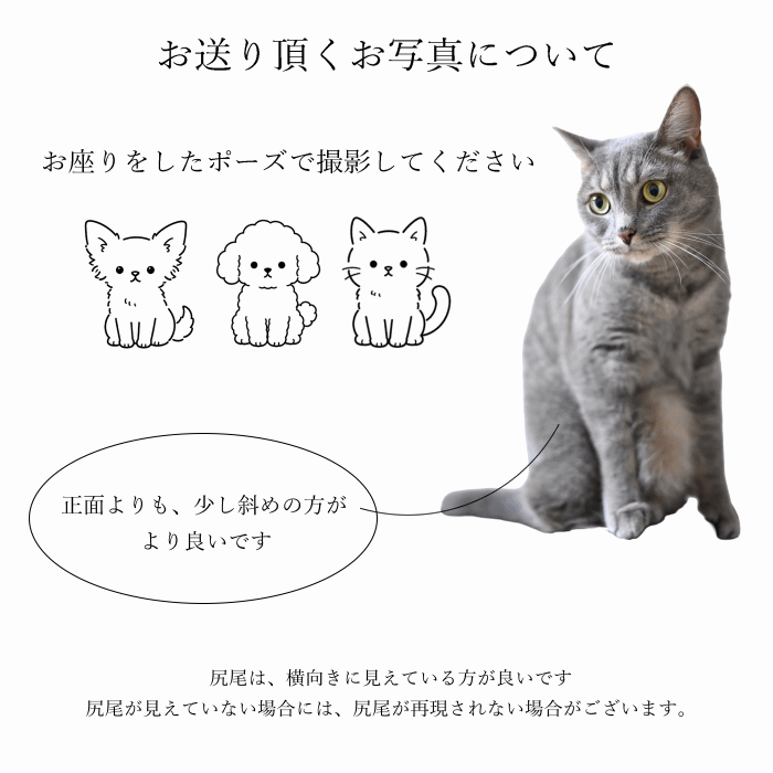 ３D彫刻 うちの子光るクリスタルキーホルダー　　犬 猫 ペット 立体 名入れ メモリアル オーダー ガラス ギフト プレゼント キレイ シンプル 透明 クリア 女性 男性