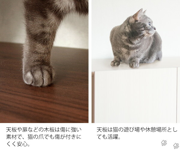 ラック あす楽 キャットトイレクローゼット 猫トイレ収納 隠す おしゃれ 家具 目隠し ペット用品 ねこ カバー 棚 収納棚 トイレ収納 猫砂飛散防止 ブラウン 猫用トイレ ナチュラル ホワイト 新生活