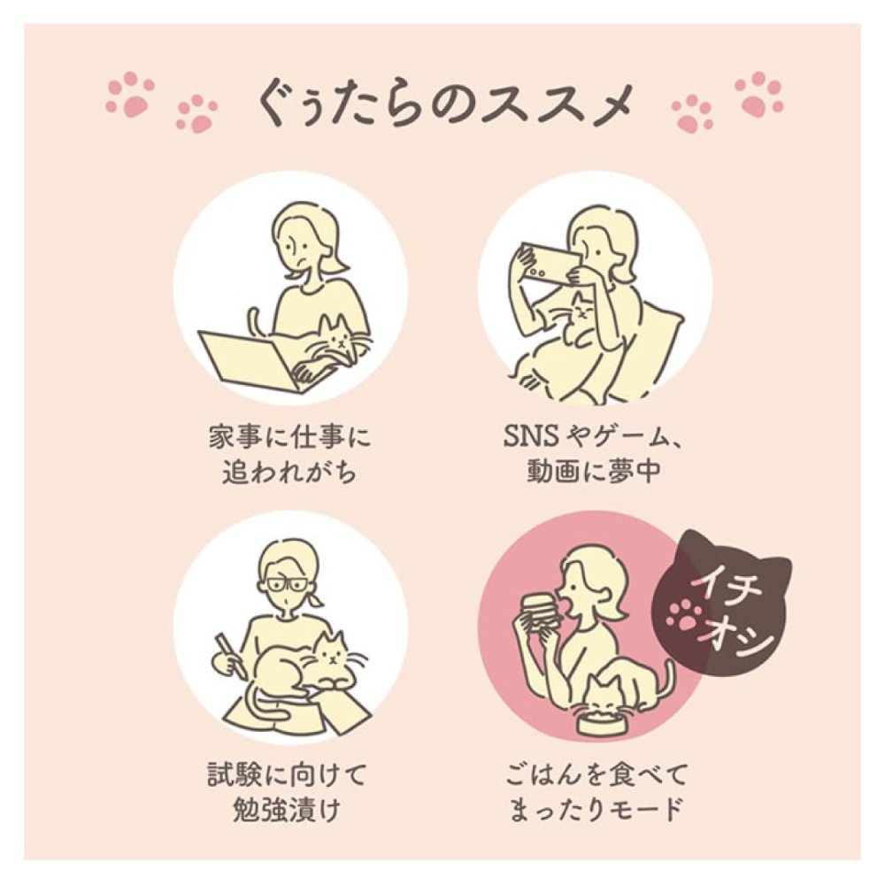 蒸気のぐぅたらアイマスク アソート3枚入り （ タマ・クロ・ミケ 各1枚） ホットアイマスク 目の疲れ プチギフト 猫 ネコ 雑貨 退職 転勤 お礼 女性 男性 クリスマス ホワイトデー 挨拶 退職 異動 お配り ばらまき お返し 安眠 ホット 誕生日 女性 男性 かわいい リラックス 無料ラッピング メッセージカード