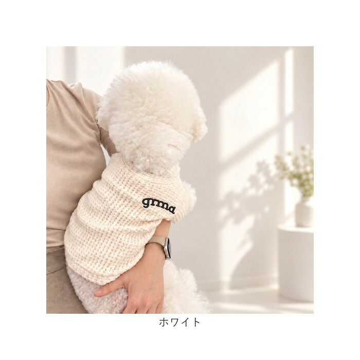 犬服 無地 tシャツ 通販 犬 服 ドッグウェア 犬の服 ペット服 ペットウェア ドッグウエア Tシャツ ペットウエアー 春 夏 秋 冬 お出かけ お出掛け お散歩 ペット用品 かわいい 可愛い おしゃれ オシャレ カジュアル