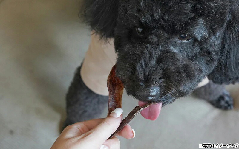 ロクバ ROKUBA カリカリジャーキー 鹿 国産 犬用おやつ 20g