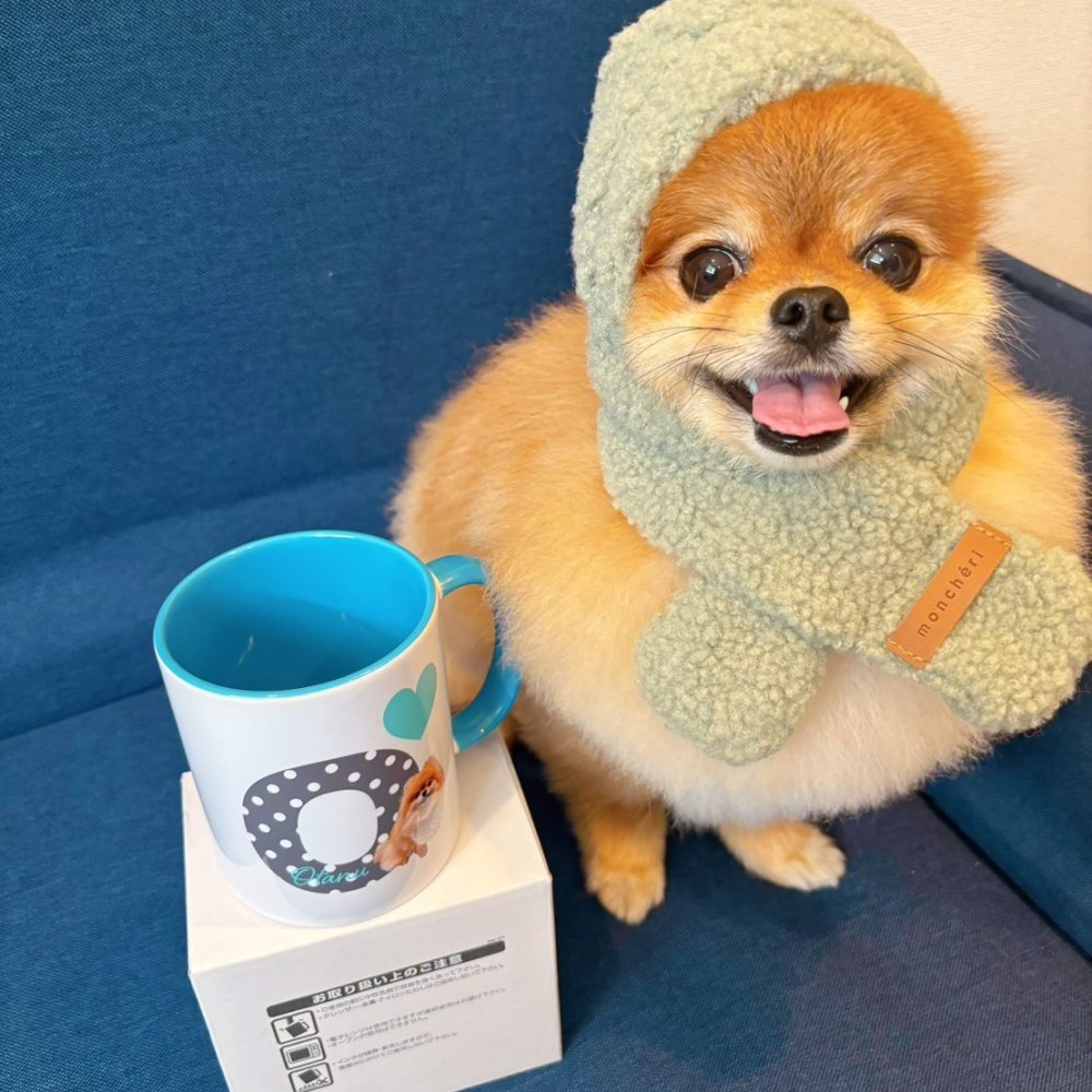 うちの子 バイカラー イニシャルマグカップ｜ペット写真で作るコップ 犬 猫 名入れ お誕生日 母の日 父の日 敬老の日 還暦祝い クリスマスプレゼント