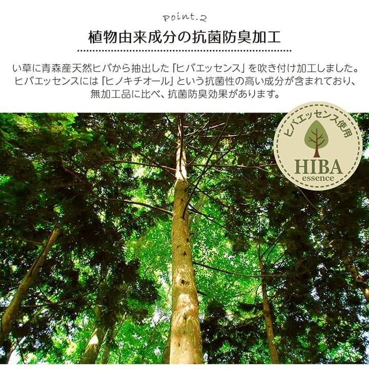 夏ラグ 夏用カーペット い草ラグ 裏ばり 花ござ カーペット ラグ 2畳 ギャッベ(ギャベ)柄 抗菌防臭 消臭 江戸間2畳 (約174×174cm） 裏:不織布